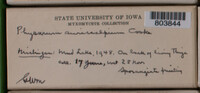 Image Associated With the Occurence